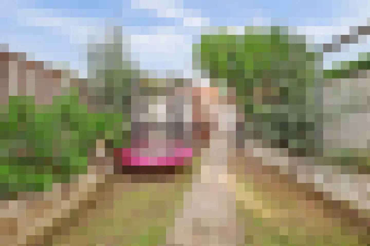 Hof van Parma 66 Doetinchem thumbnail 36