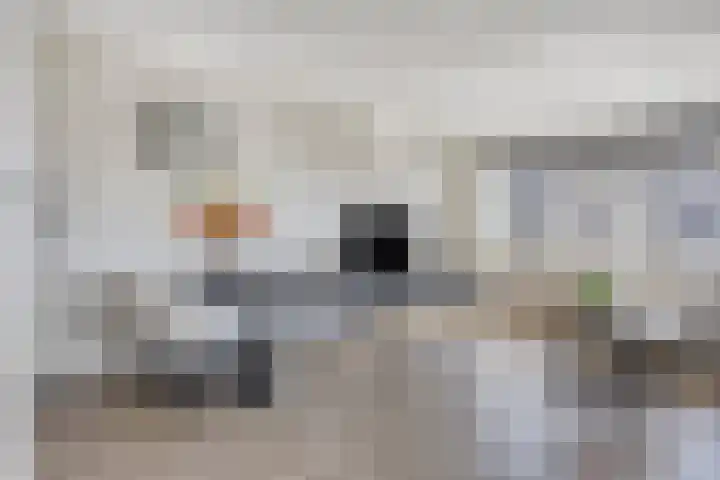 Hof van Pepijn 15 Hardenberg thumbnail 10
