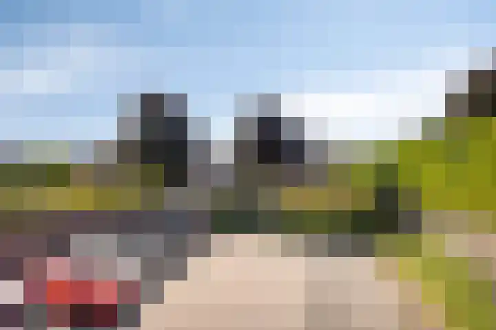 Hof van Pepijn 15 Hardenberg thumbnail 22