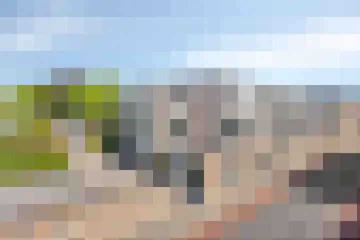 Hof van Pepijn 15 Hardenberg thumbnail 23
