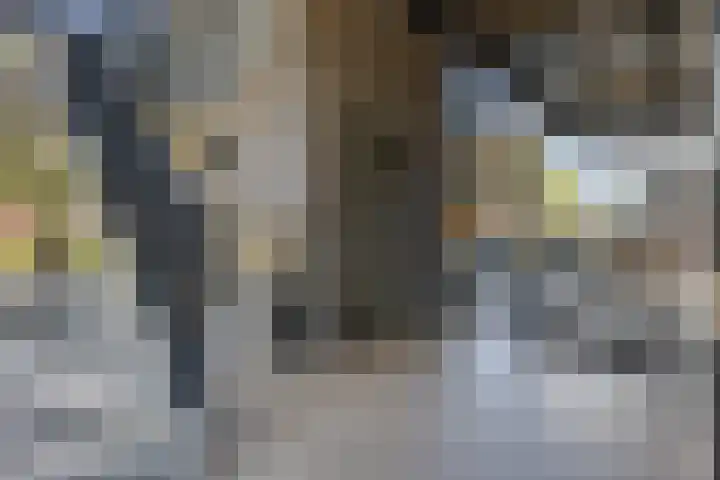 Hof van Pepijn 15 Hardenberg thumbnail 5