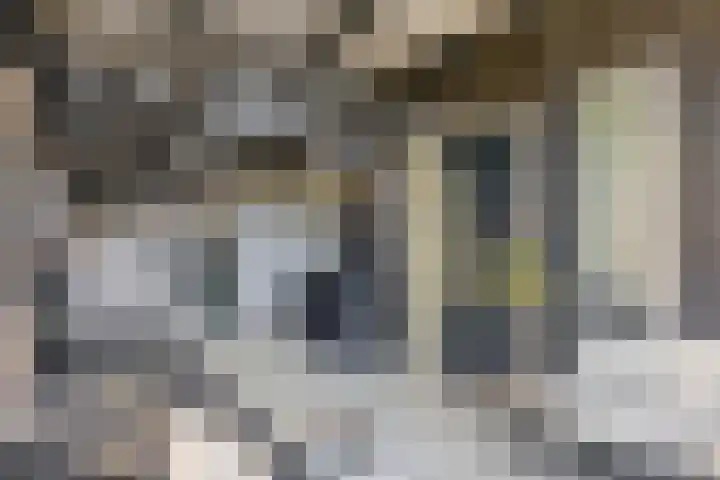 Hof van Pepijn 15 Hardenberg thumbnail 7