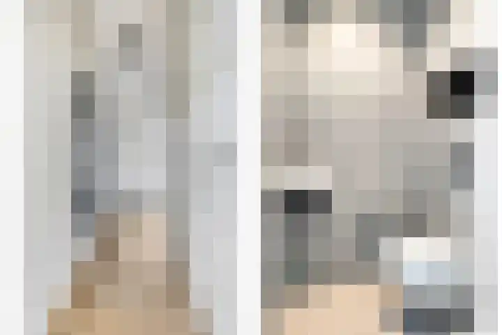 Hof van Pepijn 15 Hardenberg thumbnail 8