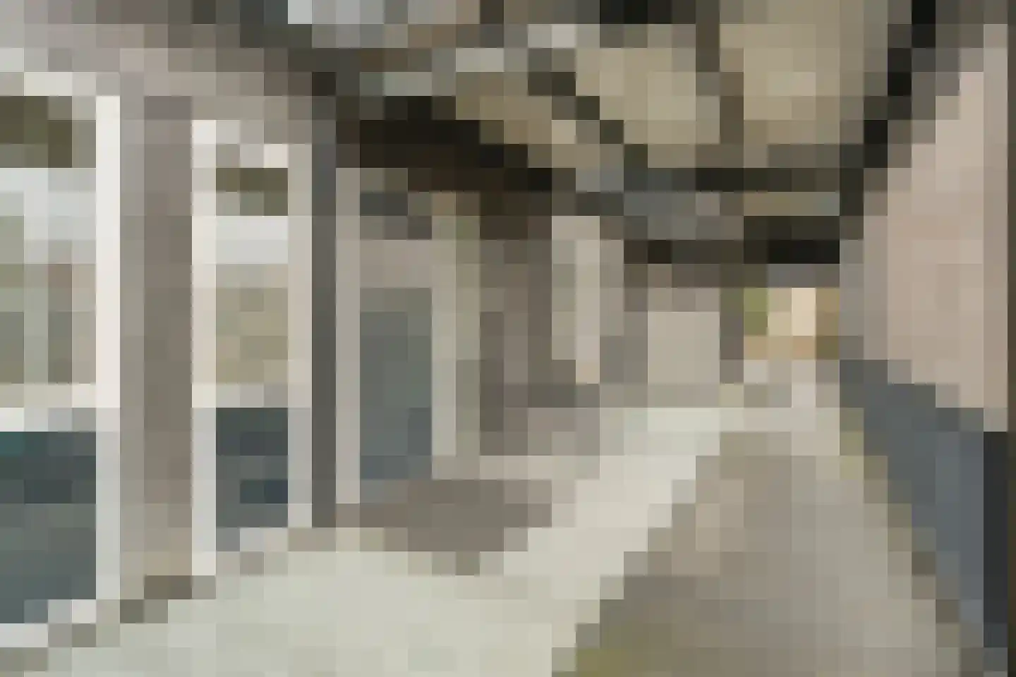 Hof van Pepijn 19 Hardenberg thumbnail 6