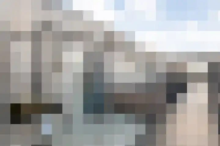 Hof van Pepijn 37 Hardenberg thumbnail 21