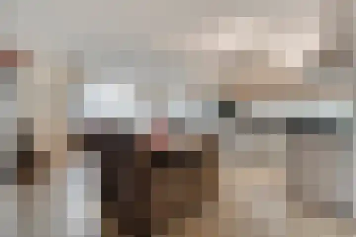 Hof van Pepijn 37 Hardenberg thumbnail 30