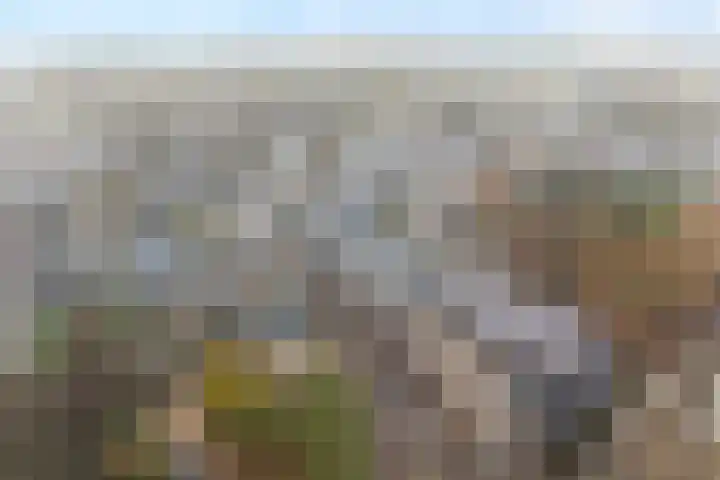 Hof van Pepijn 37 Hardenberg thumbnail 8