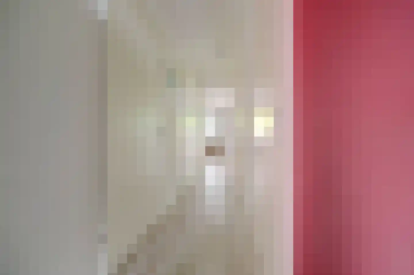 Hof van Plettenburg 4 Nieuwegein thumbnail 11