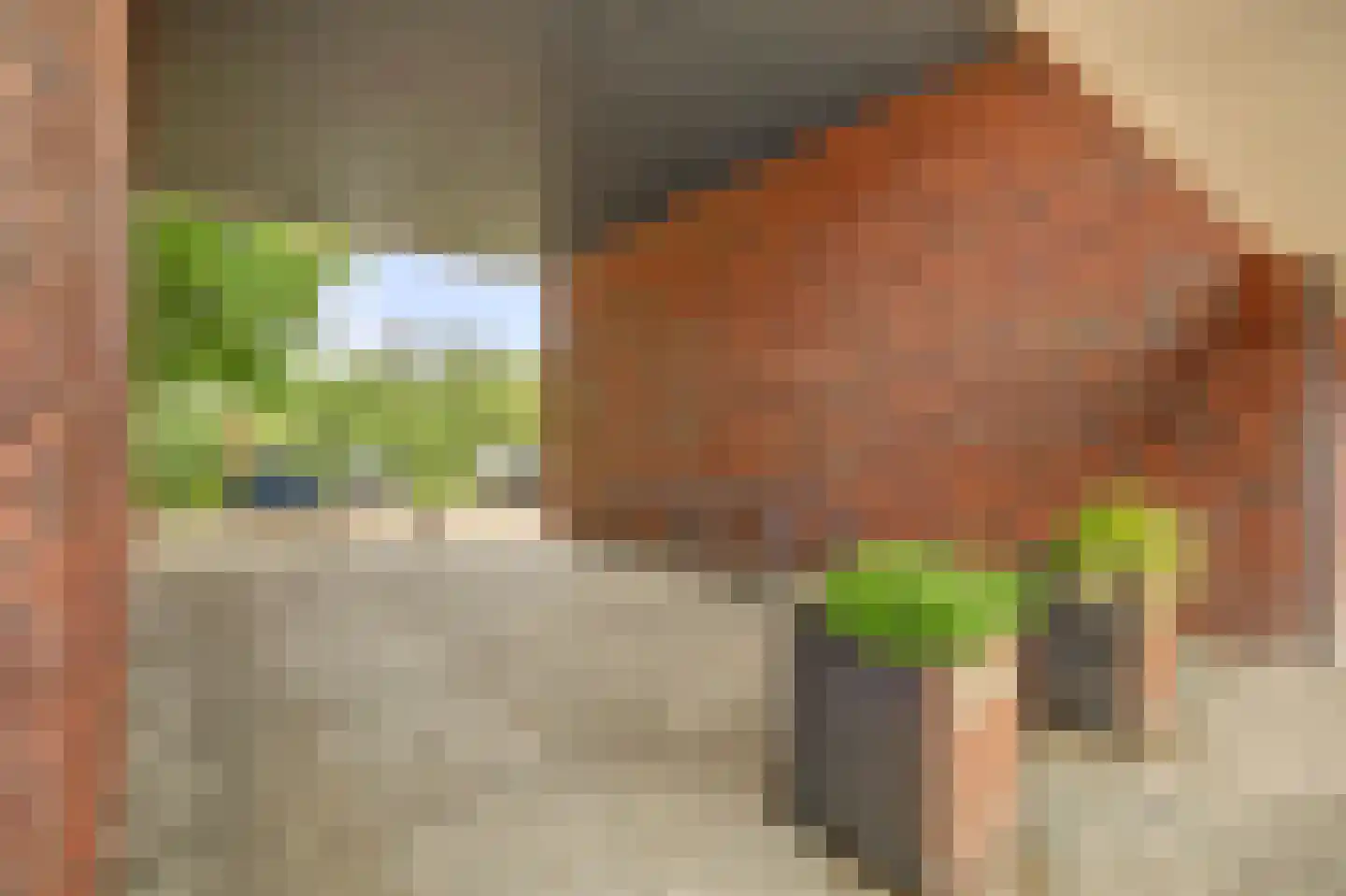 Hof van Plettenburg 4 Nieuwegein thumbnail 37