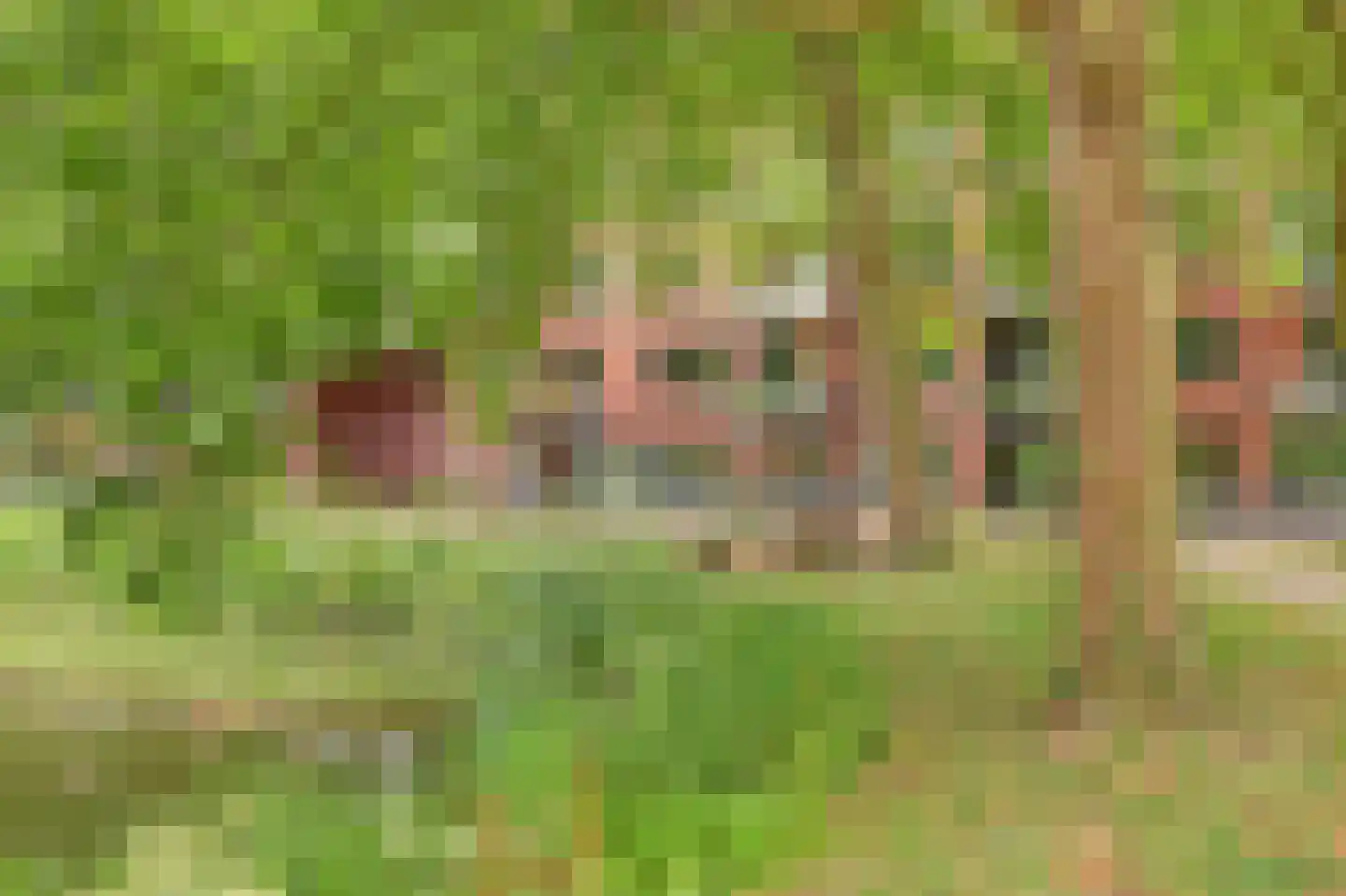 Hof van Plettenburg 4 Nieuwegein thumbnail 38