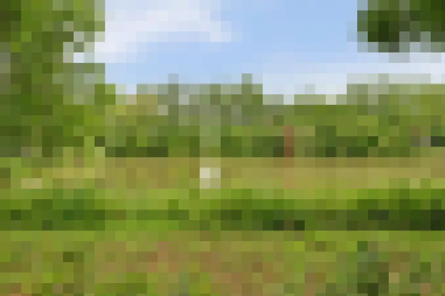 Hof van Plettenburg 4 Nieuwegein thumbnail 41
