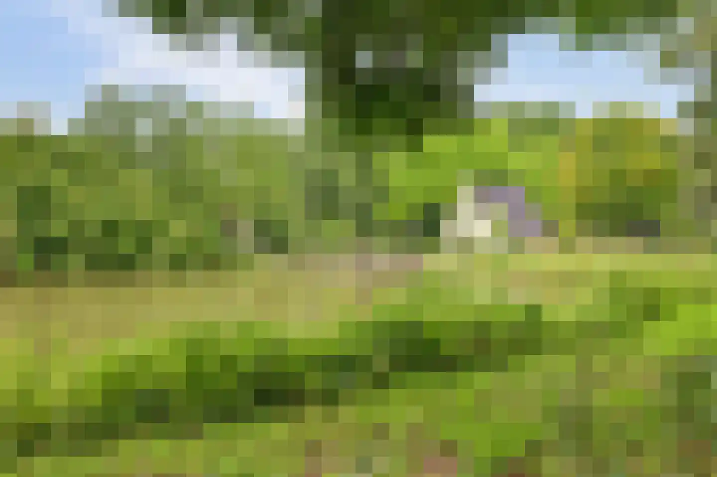 Hof van Plettenburg 4 Nieuwegein thumbnail 42
