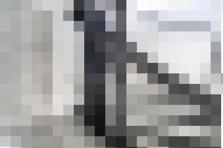 Hof van Plettenburg 42 Nieuwegein thumbnail 24