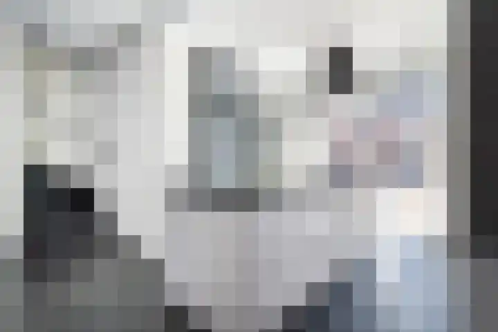 Hof van Plettenburg 42 Nieuwegein thumbnail 8