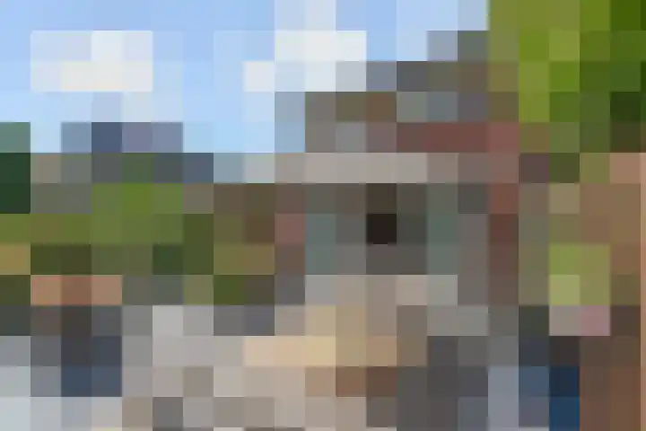 Hof van Polanen 19 Nootdorp thumbnail 21