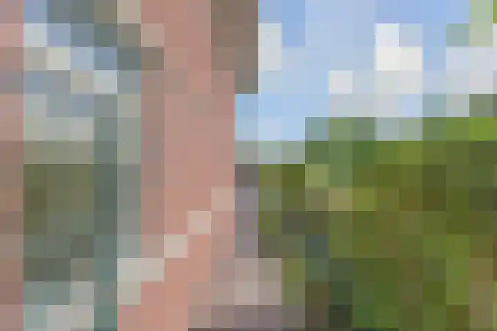 Hof van Polanen 19 Nootdorp thumbnail 54