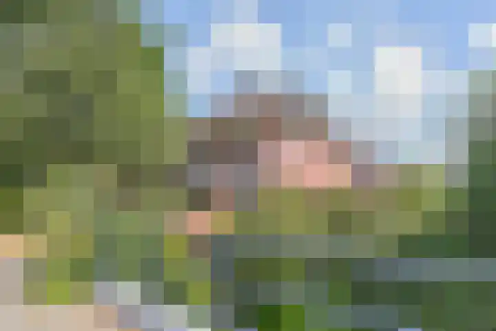 Hof van Polanen 19 Nootdorp thumbnail 62