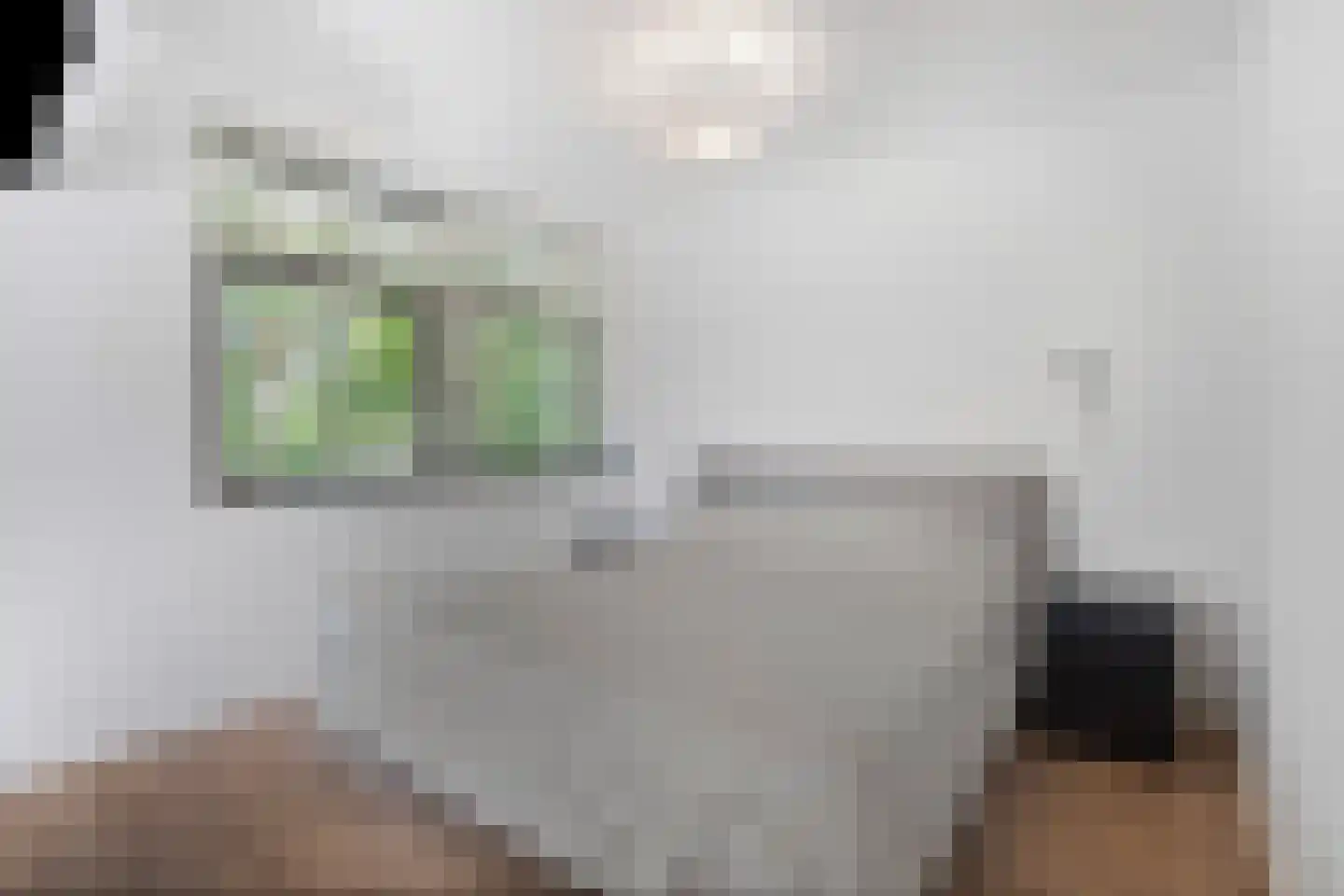 Hof van Polanen 7 Nootdorp thumbnail 17
