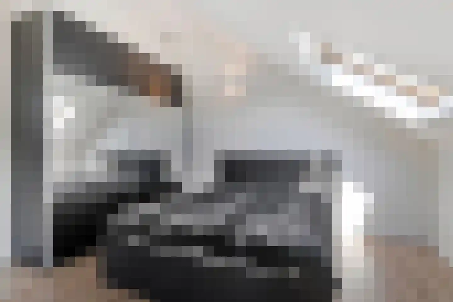 Hof van Polanen 7 Nootdorp thumbnail 31