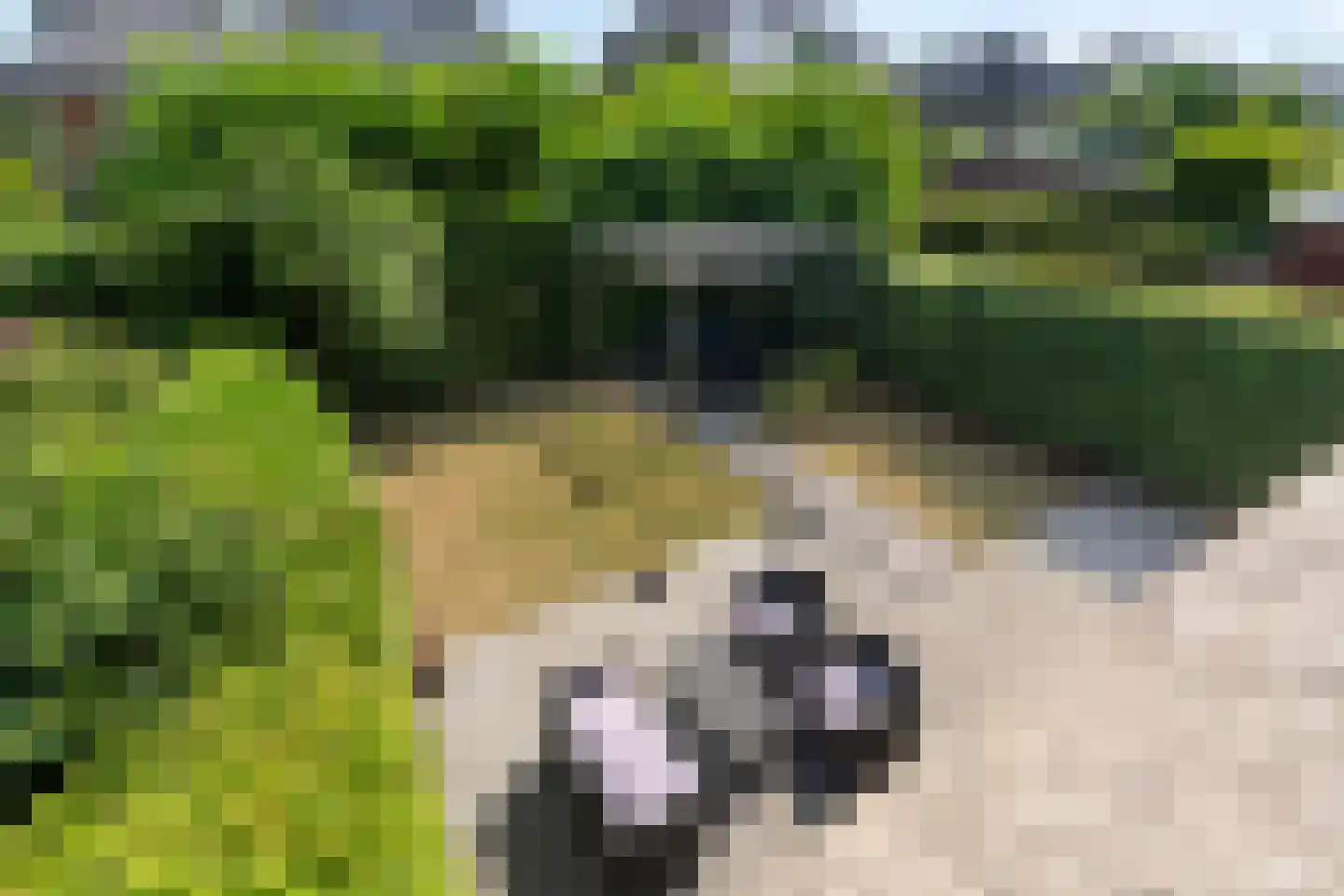 Hof van Polanen 7 Nootdorp thumbnail 34