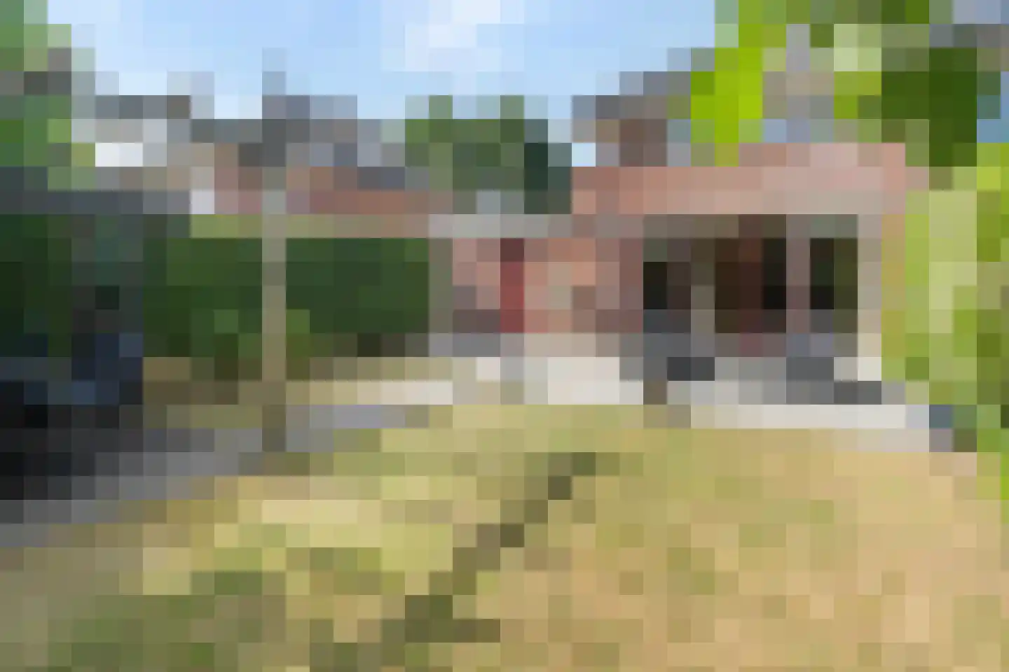 Hof van Polanen 7 Nootdorp thumbnail 38