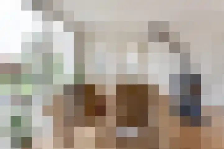 Hof van Poleij 22 Yerseke thumbnail 16