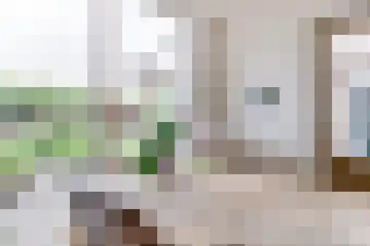 Hof van Poleij 22 Yerseke thumbnail 17