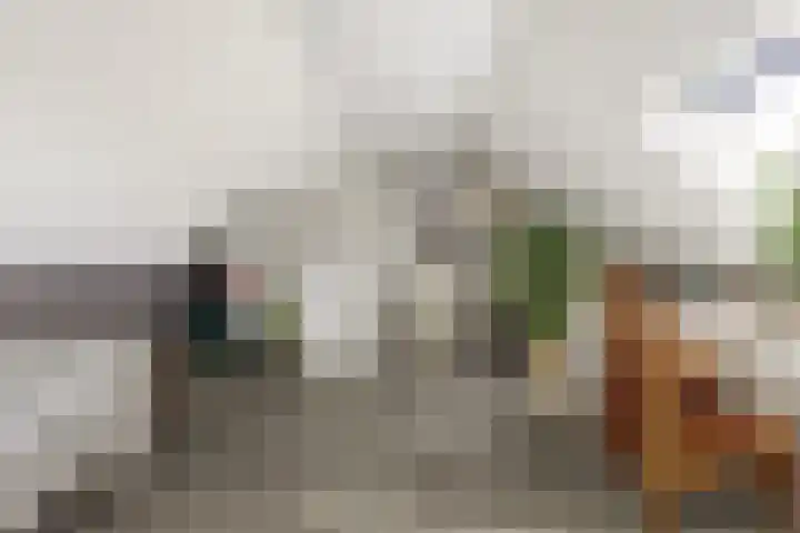 Hof van Poleij 22 Yerseke thumbnail 27