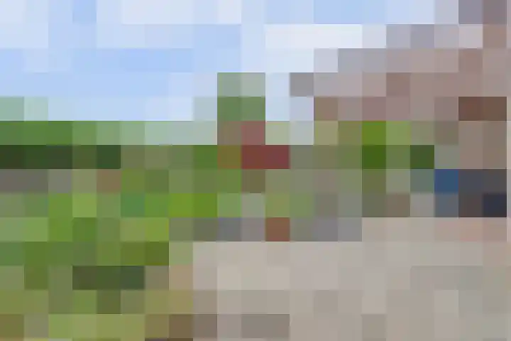 Hof van Poleij 22 Yerseke thumbnail 29