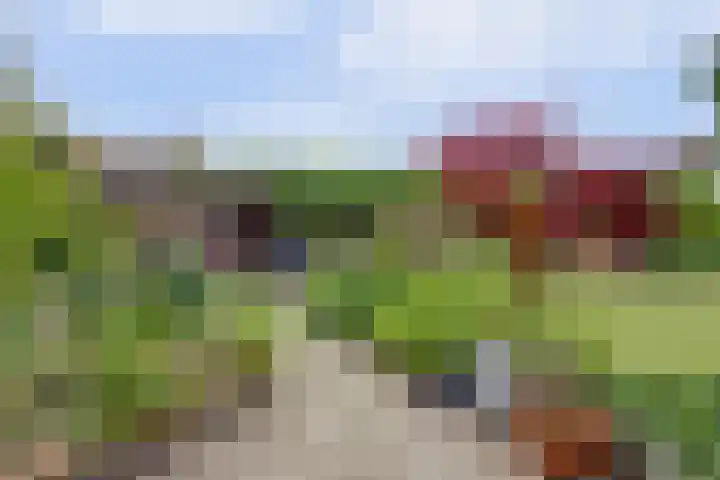 Hof van Poleij 22 Yerseke thumbnail 30