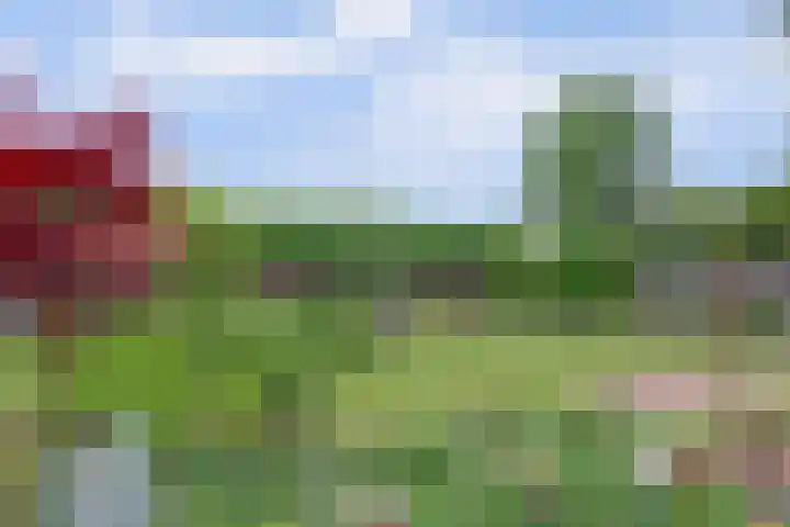 Hof van Poleij 22 Yerseke thumbnail 32