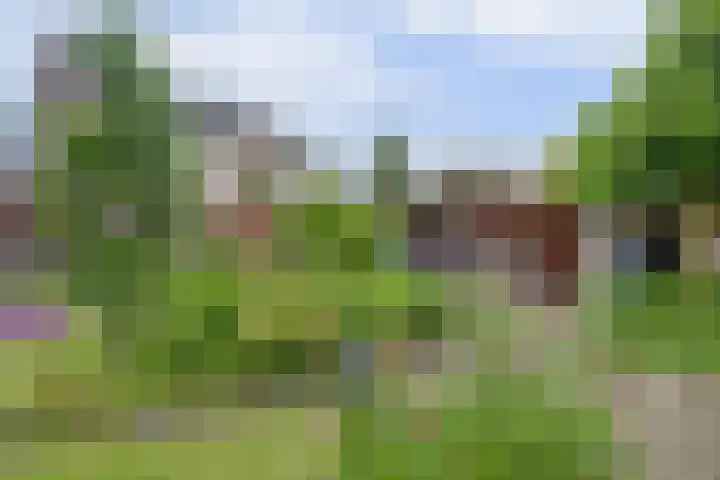 Hof van Poleij 22 Yerseke thumbnail 35