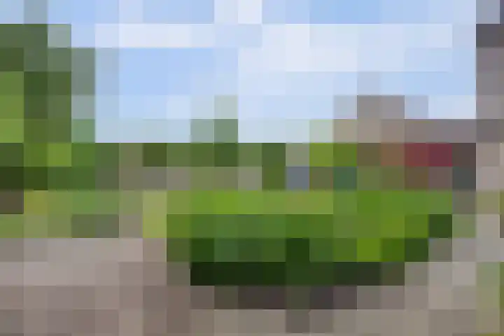 Hof van Poleij 22 Yerseke thumbnail 36