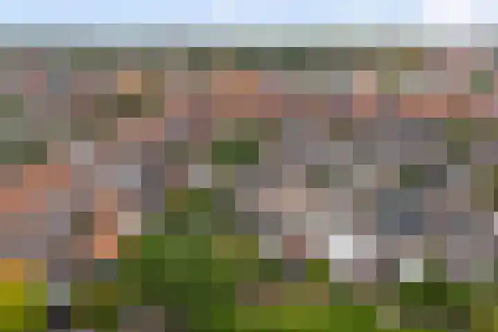 Hof van Poleij 22 Yerseke thumbnail 37