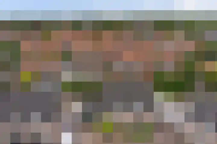 Hof van Poleij 22 Yerseke thumbnail 38