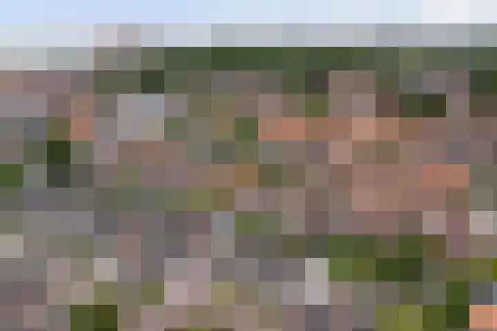 Hof van Poleij 22 Yerseke thumbnail 39