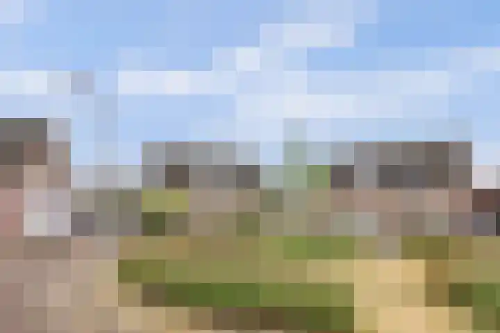 Hof van Poleij 22 Yerseke thumbnail 4