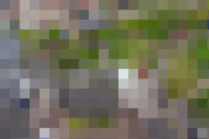 Hof van Poleij 22 Yerseke thumbnail 40