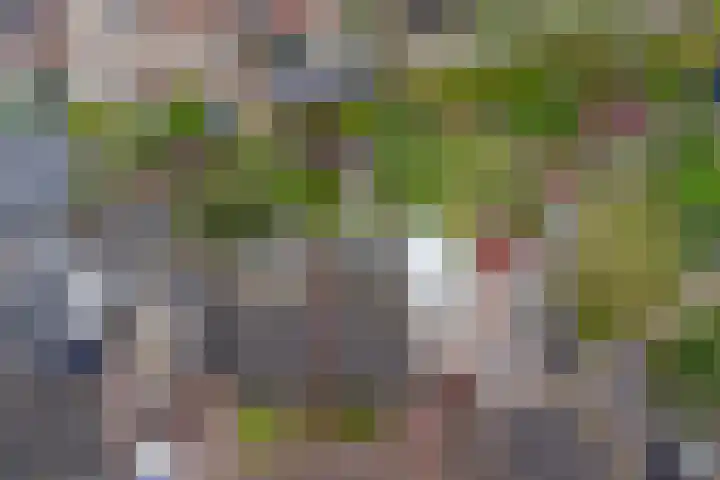 Hof van Poleij 22 Yerseke thumbnail 42