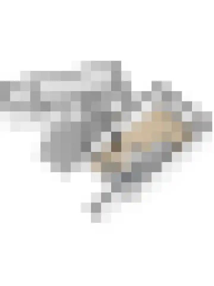 Hof van Poleij 22 Yerseke thumbnail 47