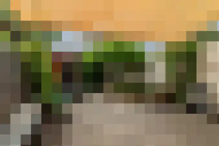 Hof van Portland 35 Rhoon thumbnail 34