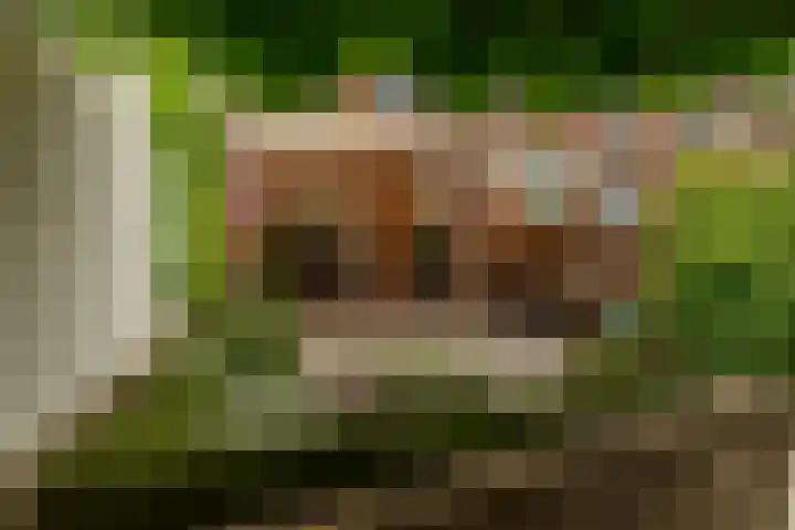 Hof van Portland 35 Rhoon thumbnail 37