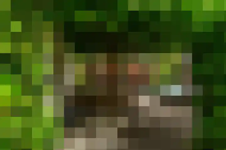 Hof van Portland 35 Rhoon thumbnail 38