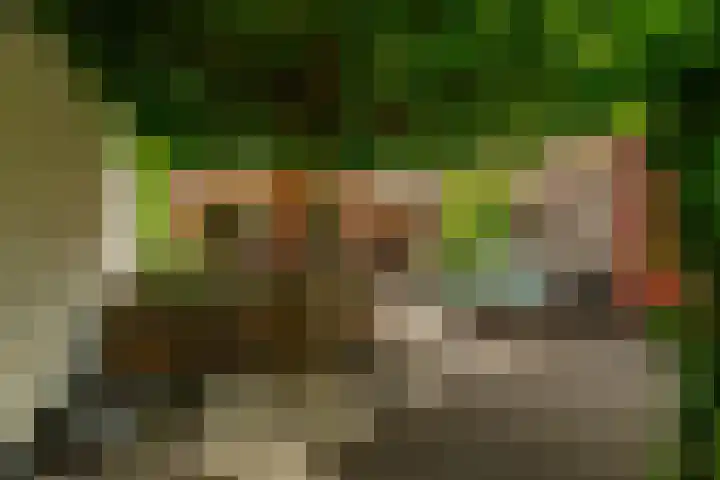 Hof van Portland 35 Rhoon thumbnail 39