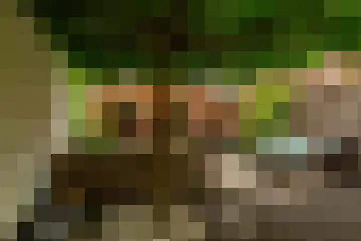 Hof van Portland 35 Rhoon thumbnail 40