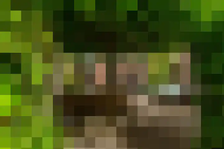 Hof van Portland 35 Rhoon thumbnail 41