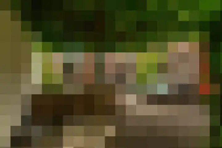 Hof van Portland 35 Rhoon thumbnail 42