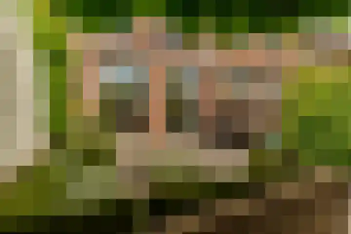 Hof van Portland 35 Rhoon thumbnail 43