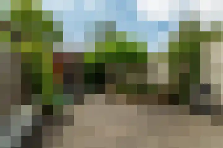 Hof van Portland 35 Rhoon thumbnail 44