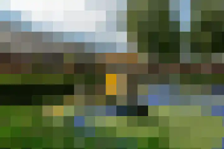 Hof van Portland 35 Rhoon thumbnail 5
